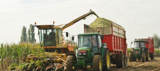 Landb. Ollevier – Woesten