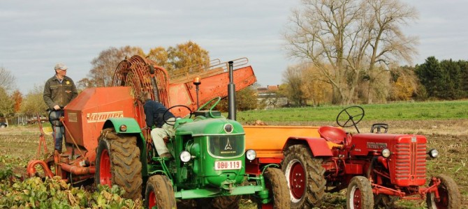 Landb. Lebbe – Ieper