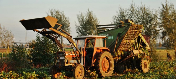 Landb. Vermeire – Kaprijke