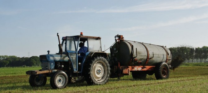 Landb. Damme J – Ronsele