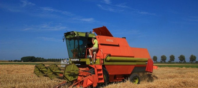 Landb. Temmerman – Hoofdplaat Landb. Temmerman – Hoofdplaat