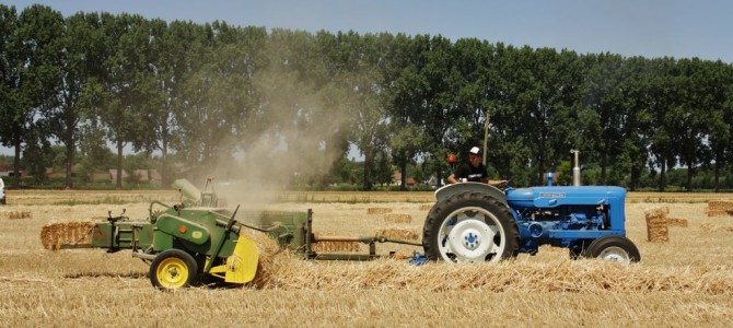 Hobbyist. Vanhullebus uit Zomergem