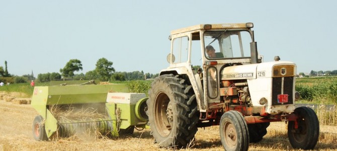 Landb. Van Belleghem – Zuienkerke