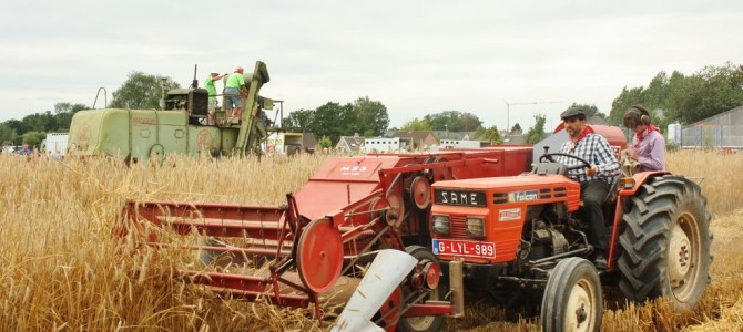 Pikkeling 2018