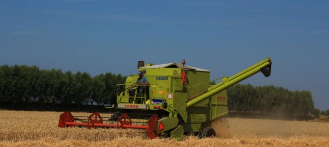Landb. Govaerts – Breskens (NL)