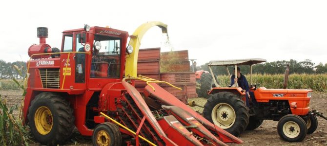 Oldtimer-hakseldag Dalen 2018