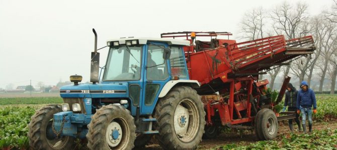 Landb. Dewitte – Wingene