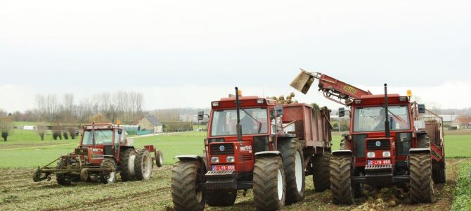 Landb. Vanoverberghe – Klerken Landb. Vanoverberghe – Klerken