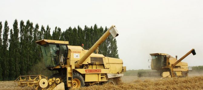 Landb. Silverans – Humbeek
