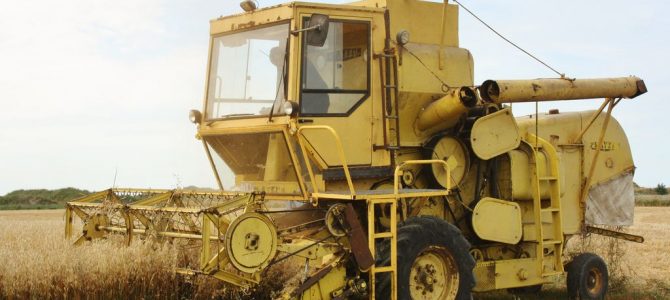 Clayson M 103