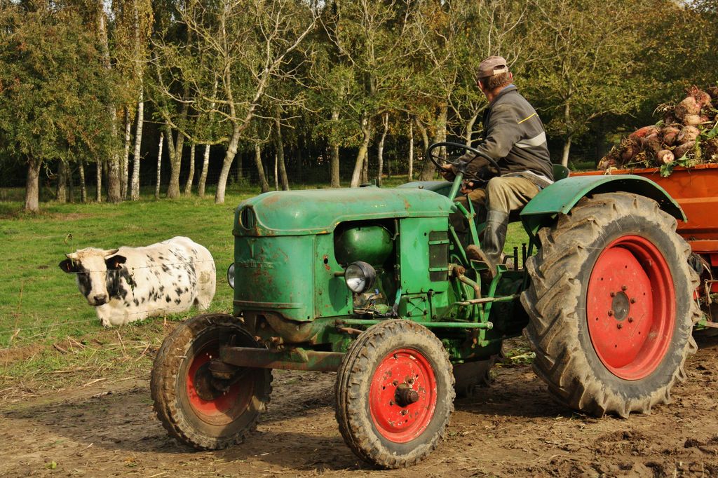 Landb. Lebbe - Ieper - Deutz D 68 06 - D25 - Kemper 