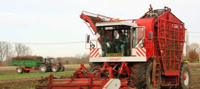 Loonw. Ripatrac – Koekelare