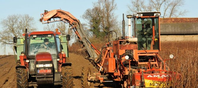Landb. Warnitz – Celles