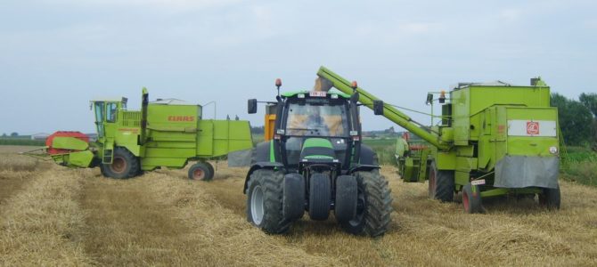 Loonw. Borry – Ieper