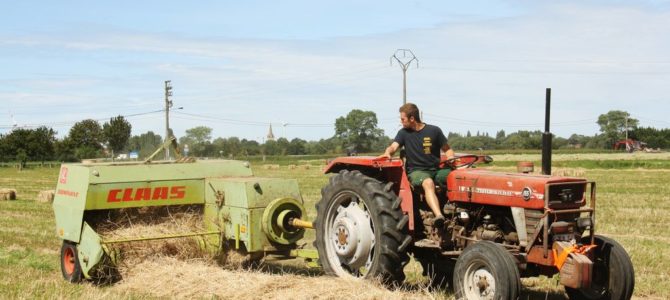 Landb. Ampe – Gistel