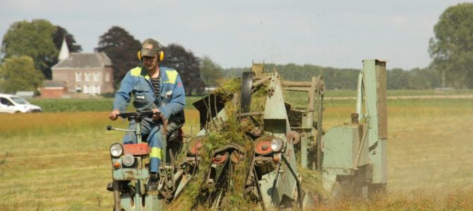 Landb. Mangnus – Vogelwaarde (NL)