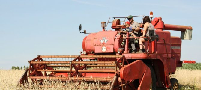 Landb. Warnitz – Celles