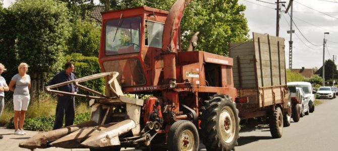 Team Buzze – Hesston 7420
