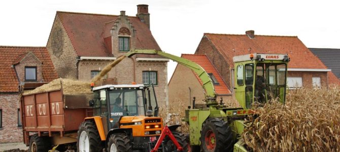 Landb. Tavernier – Roksem