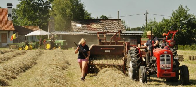 Team Buzze hooi persen