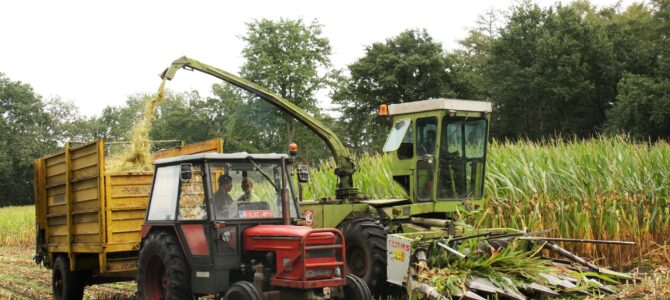 Landb. Cools – Balen